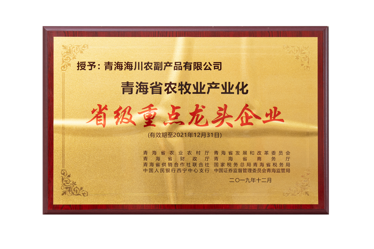 荣誉资质