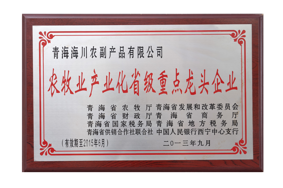 荣誉资质